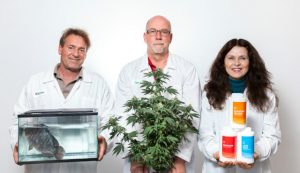 Cannabis company executives point finger at founders over alleged missing $14 million