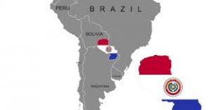 Paraguay issues 12 medical cannabis production licenses