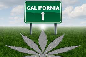 California Marijuana Notebook: Tax issues loom high on the agenda for state’s cannabis industry says MJ Biz