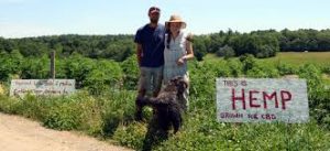 Maine abandons plan to double per-acre fees on hemp farmers