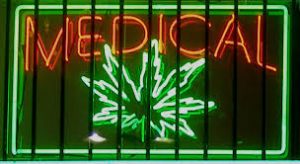 The Netherlands introduces new medical cannabis varieties for patients