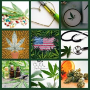 How To Make a Cannabis Quilt