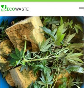 Market of the Beast: Cannabis Sustainability with EcoWaste Co-Founder