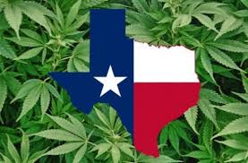 Texas Will Begin Accepting Hemp Production License Applications This Month