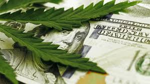 National Law Review Article: Cannabusinesses Should Take Advantage of Their Extra Time to File Tax Returns to Ensure Proper Reductions in Their Taxable Income for Cost of Goods Sold