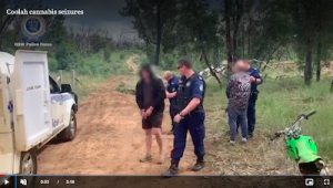 Australia: NSW Police Charge Bike Gang President After Raid On Rural Cannabis Farm