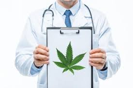 Canadian Scientists Says Expediate Medical Cannabis Research To See If Cannabis Has "Immunomodulatory Properties"