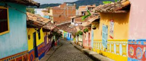 How Colombian medical cannabis producers are adapting to the COVID-19 pandemic