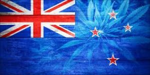 NZ Launches New Medical Cannabis Rules