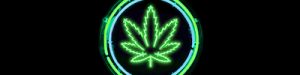 Deloittes Cannabis - Brave New Market Webinar Series
