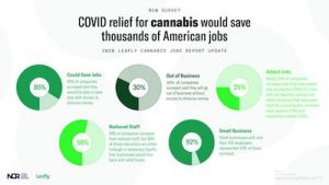 Leafly & National Cannabis Roundtable Publish Report: Congress could save 10,000+ cannabis jobs with access to stimulus funds