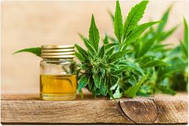 CBD Oil: What You Have To Pay Attention To