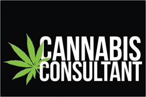 Cannabis Consulting and Coaching Insight