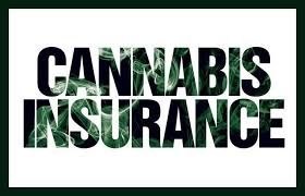 Ny Times Piece Says Insurance Costs Spike For Cannabis Companies Following Rise In Sector Lawsuits