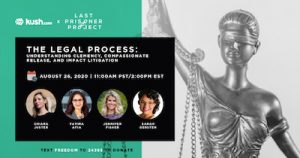 The Legal Process: Understanding Clemency, Compassionate Release, and Impact Litigation
