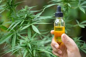 The History Behind CBD Oil: What Users Should Know