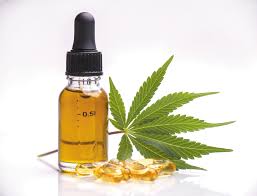 CBD Oil: All You Need To Know 