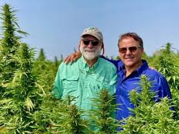Two NM hemp companies join forces