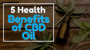 5 Health Benefits From CBD Oil