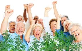 Medicinal Cannabis For Seniors- How To Start Safely