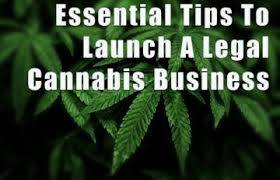 What To Know If You Want To Start A Legal Cannabis Business