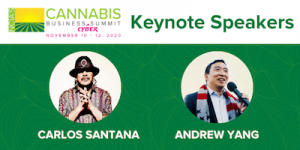 Cannabis Business Cyber Summit