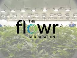 Canada: Flowr to buy Terrace Global amid tepid cannabis M&A market