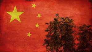 Hemp Today Article: China’s CBD sector experiencing typical teething pains