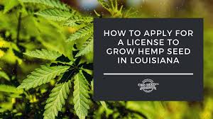 With Great Difficulty !! Louisiana's new industrial hemp sector off to a rough start, officials say