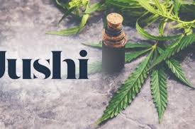 Jushi Holdings Inc. Announces Provisional License for Medical Cannabis Cultivation in Portugal