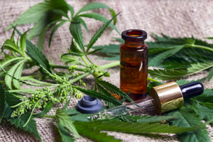 A Guide To CBD Oil: 3 Tips For Safe Usage