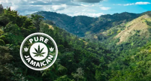 Pure Jamaican's Pharma Division Seven10 Nears Start of Exportation of Pharmaceutical Cannabis Ingredients to Mexico With Mexican Senate's Approval of Cannabis Legislation