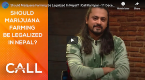 Should Marijuana Farming Be Legalized In Nepal?