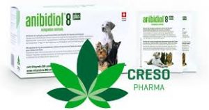 Creso Pharma receives first pet-health cannabis orders in Latin America