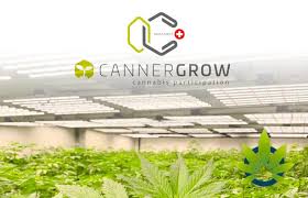What Is Cannergrow And How Could It Provide You With An Extra Income?