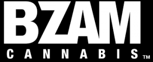 Legal Counsel BZAM Management Inc. - Vancouver, BC