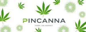 A Perfect Fit”, Michigan, Israeli Cannabis Companies Say of Partnership