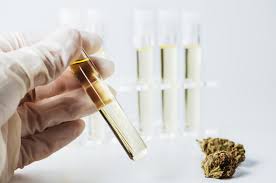 Here's How to Identify Good-Quality CBD Manufacturers