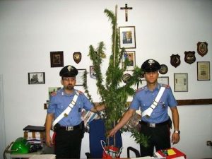 Article: The Crisis of Marijuana Criminalization in Italy