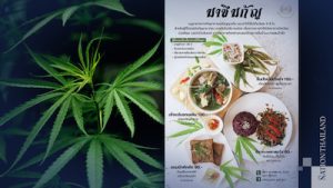 Prachinburi hospital in Thailand serves up cannabis infused meals