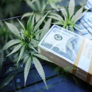 Article:  7 Reasons Accounting Firms Should Embrace Cannabis Clients in a Post-COVID World