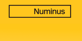 Corporate Accountant - Numinus