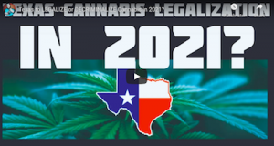 Texas to LEGALIZE or DECRIMINALIZE Cannabis in 2021?