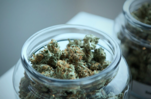 How Often You Should Clean Cannabis Jar Containers