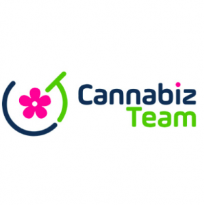 CannabizTeam Launches CT Board Placement for Cannabis Companies