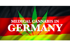 New developments in the German medical cannabis and cannabidiol (CBD) market 2021 –  an overview