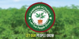 Grassroots pro-cannabis group in the UK  initiates human rights challenge against British government