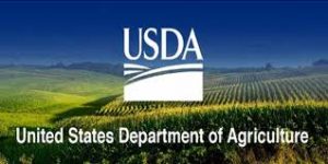 USDA Announces Grant To Collect ‘Superior Performing’ Hemp Seeds