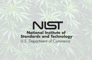 Is It Hemp or Cannabis? NIST Develops Revolutionary Testing To Distinguish Between The Two