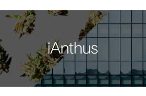 iAnthus receives $11M loan, go-ahead to finish New Jersey cannabis facility